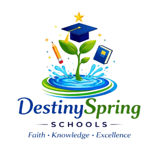 DestinySpring Schools